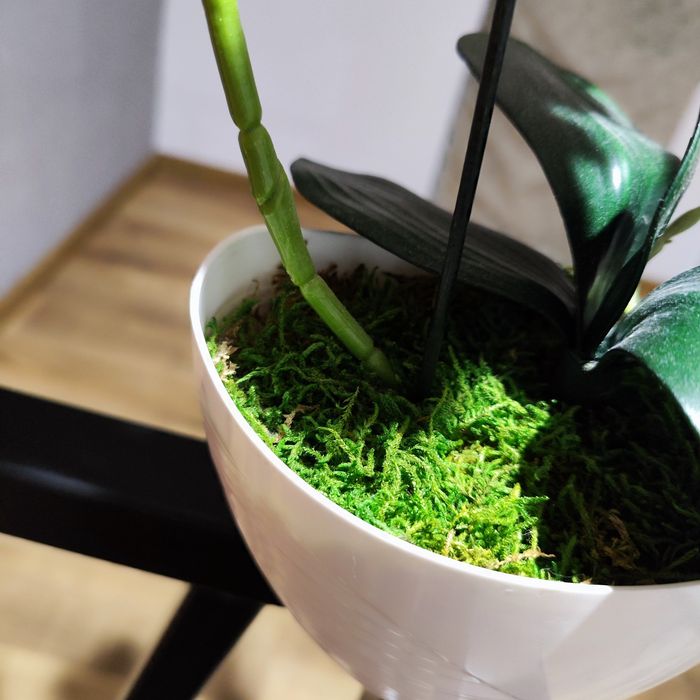 Doniczka orchidea storczyk sztuczny