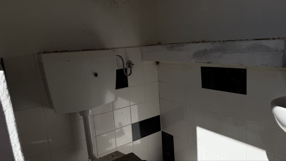 Terreno Rural com Potencial em Olhão