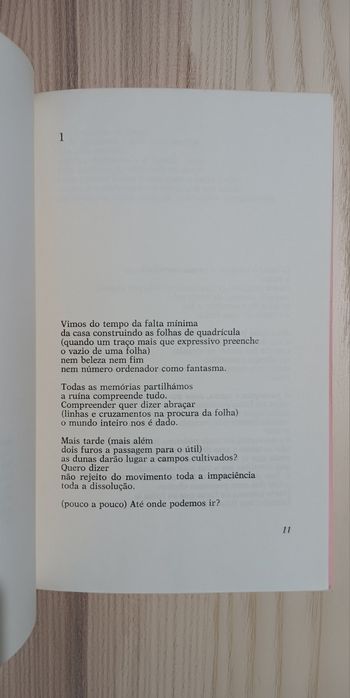 João Miguel Fernandes, Vinte e Nove Poemas