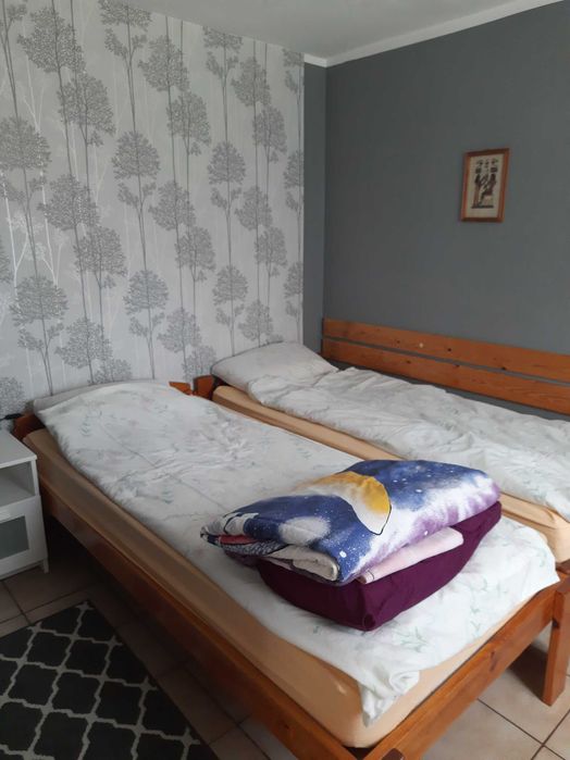 Domki , noclegi Augustów