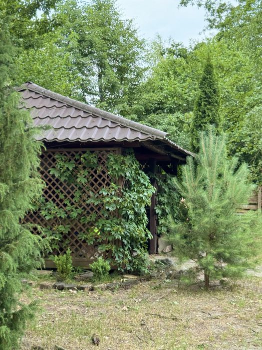 Відпочинок на озері Пісочне в селі Любохини «Зелена Садиба»
