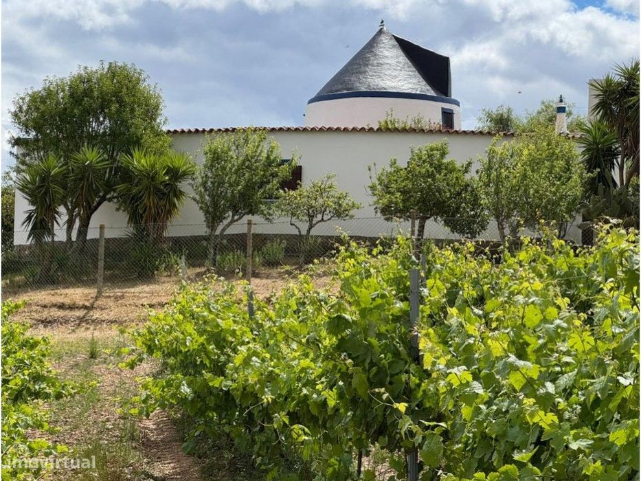 Casa com Moinho em pleno Alentejo