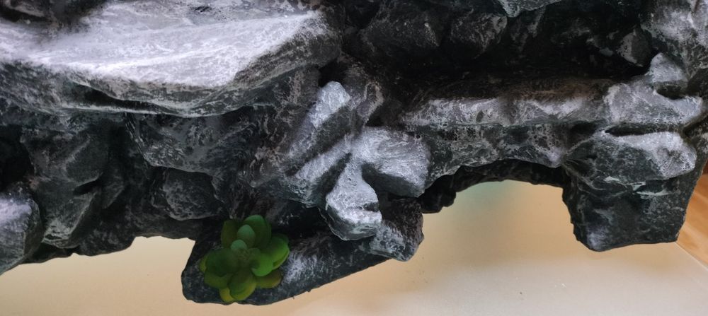 Ścianka do terrarium