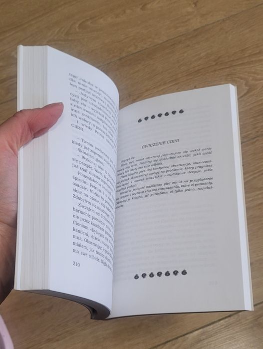 Pielgrzym Paulo Coelho