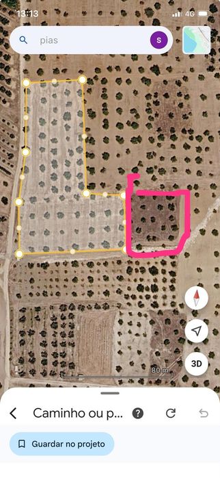 Veda de olivais em zona de regadio serpa