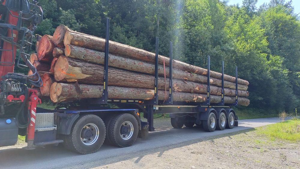 Drewno Tartaczne sosna jodła swierk