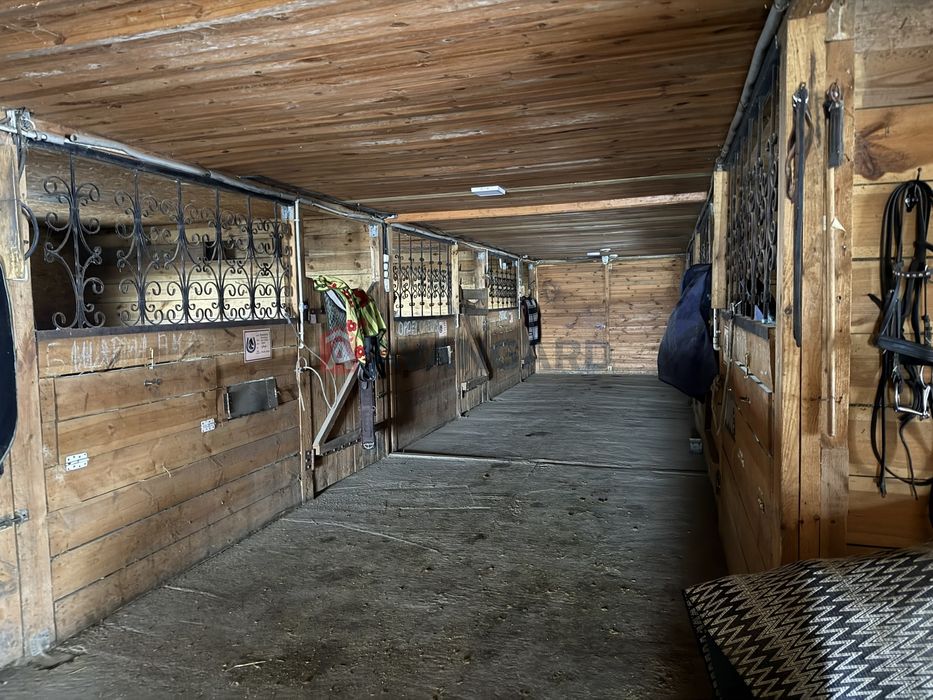 Продажа кінний двір Новоолександрівка комерція