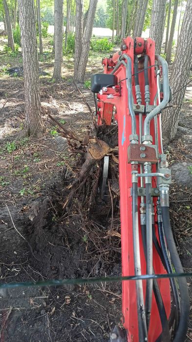 Usługi minikoparką Zbuczyn i okolice