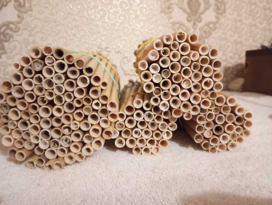 Трубочки для бджіл Осмія