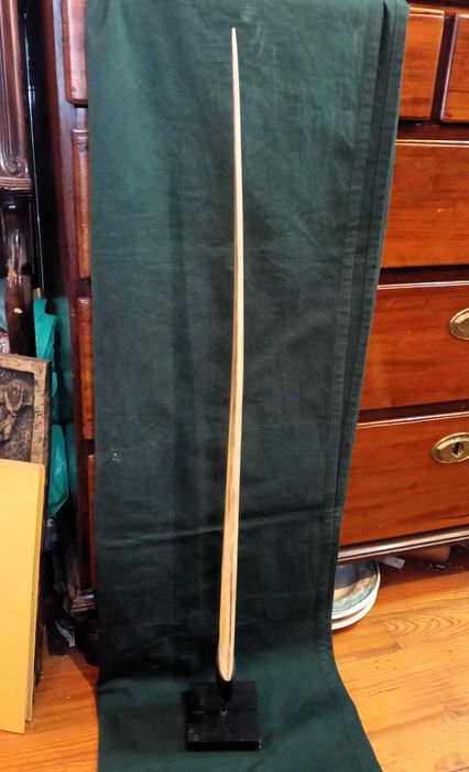 Presa Peixe Espada Grande