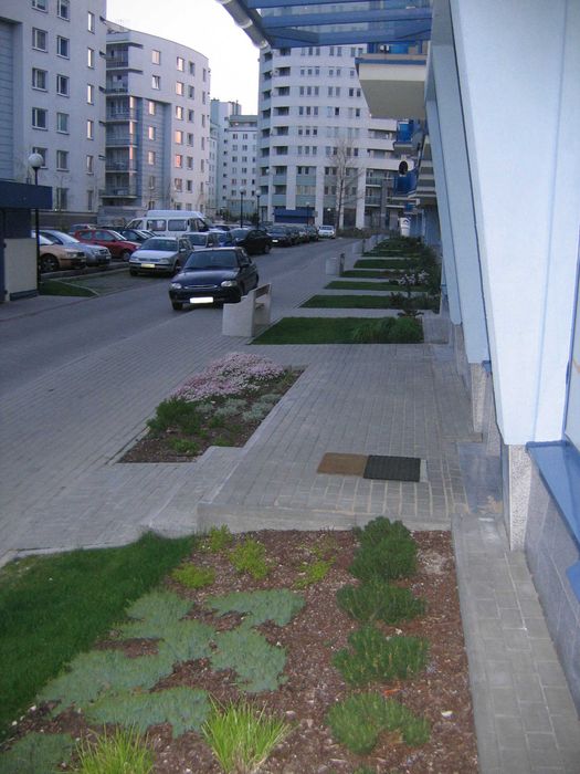 Zdjęcie 8