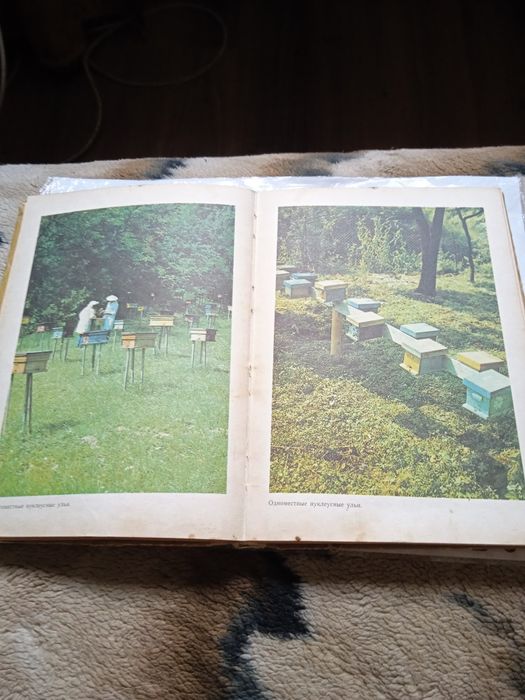 Книга/Карпатские пчели