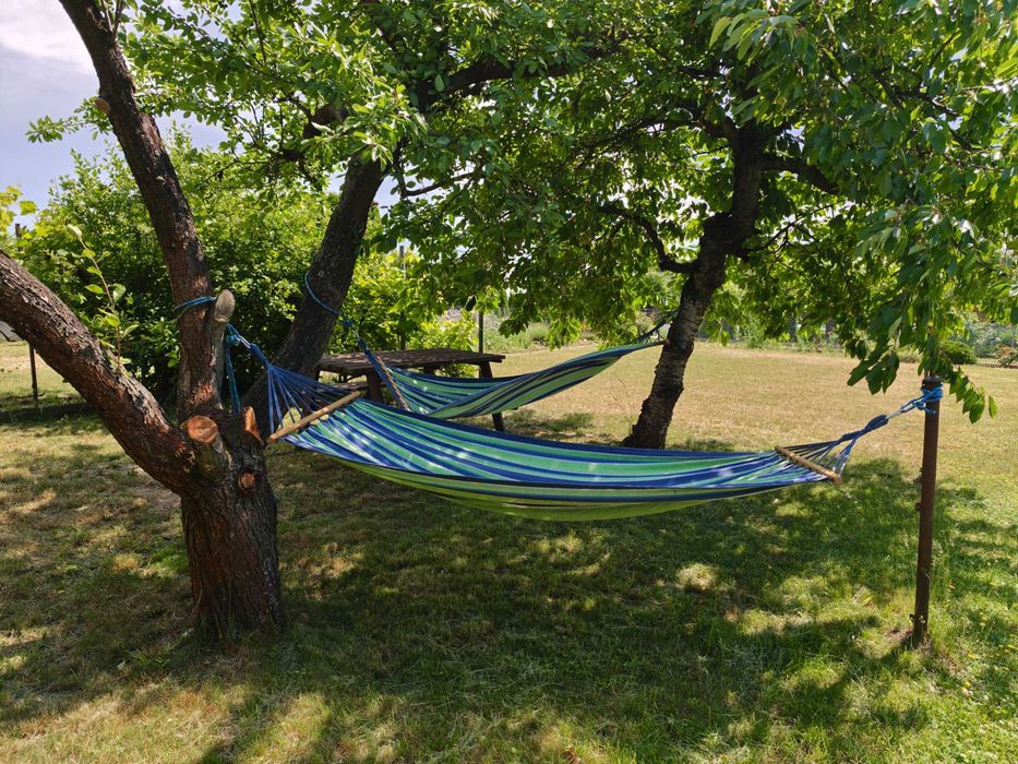 Działka ROD "Pod Lipami" ul. Działkowców, 507 m² - Widok 4