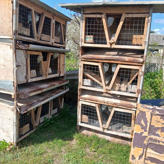 Продам клітки для кроликів.