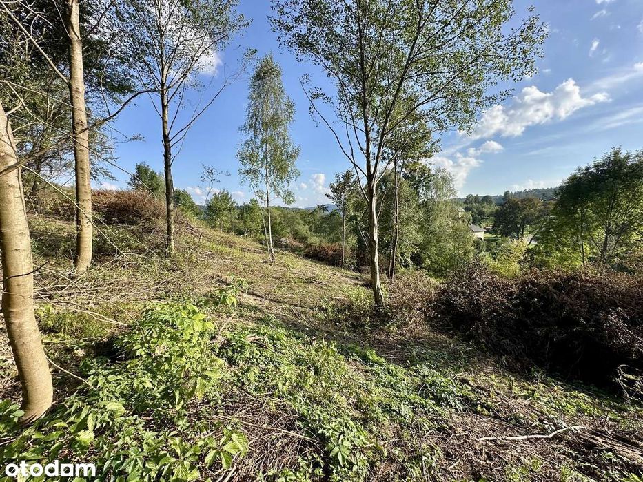 Solina 1,97 ha | MPZP | pod inwestycję (podział/domki) | PUM do 2800m2
