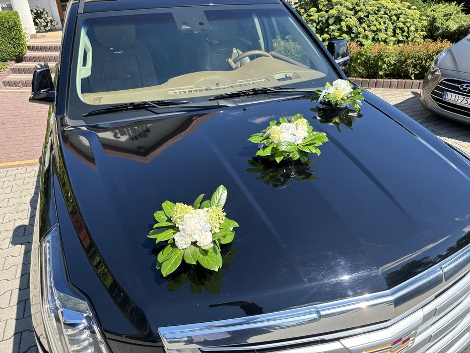 Luksusowy Cadillac Escalade