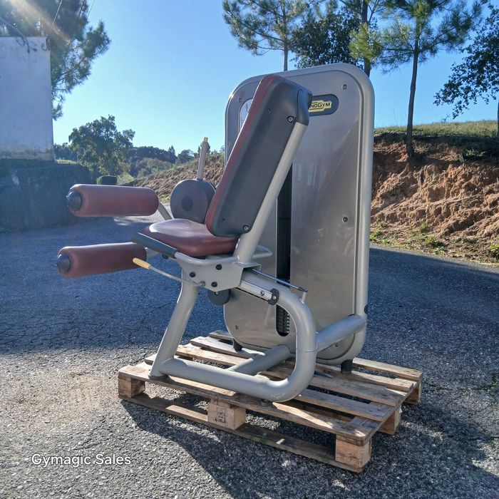 GYMAGIC-Leg curl sentado TECHNOGYM