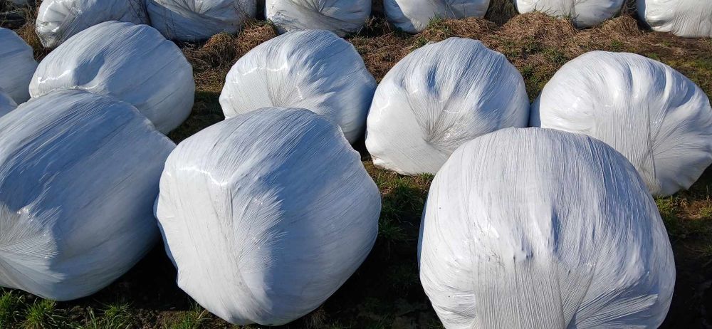 Sprzedam bele sianokiszonki