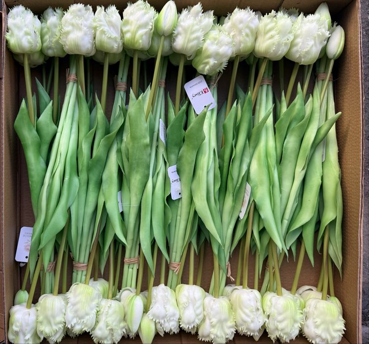 Тюльпани з найтонкішого LUX Силікону