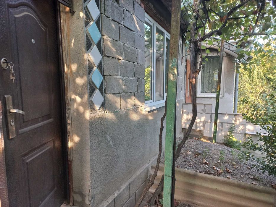 Будинок в селі з меблями та літньою кухнею