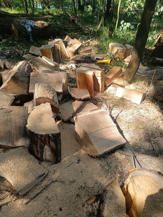 Drewno opałowe i kominkowe wycinka drzew