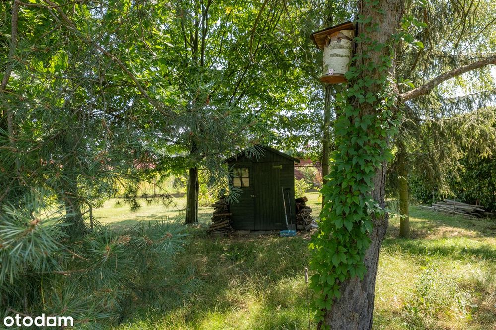 Sprzedam duży, rodzinny dom na pięknej działce w Konopnicy.