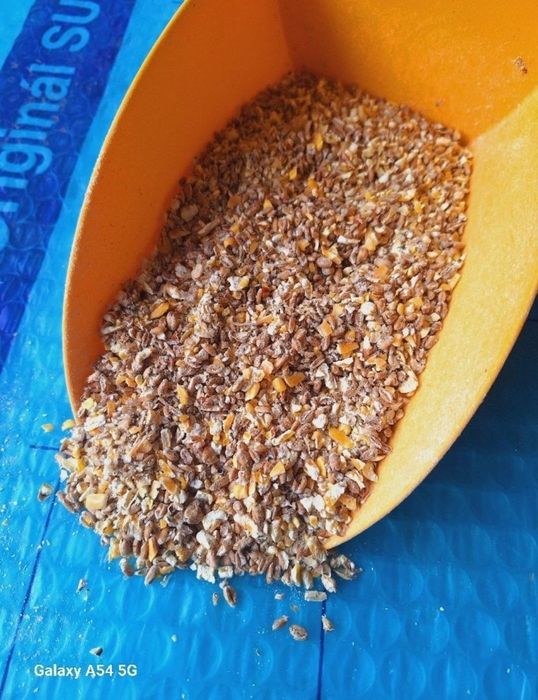 Mieszanka Pszenica-Kukurydza Gnieciona25kg