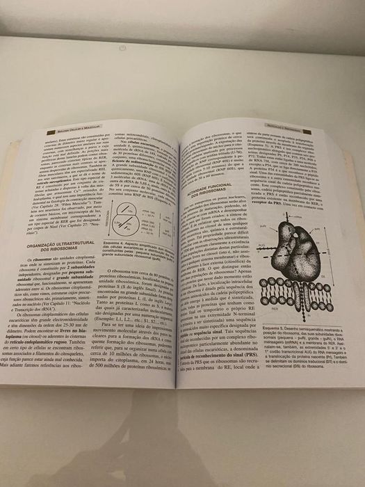 Livro Biologia Celular e Molecular e Anatomia Fisiologia de Seeley