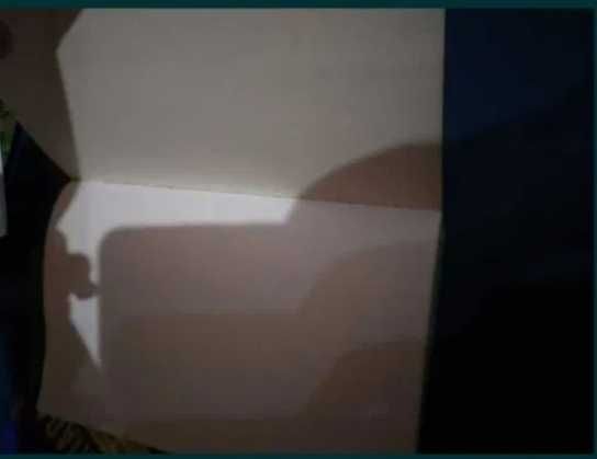 Harry Potter e a Ordem da Fénix