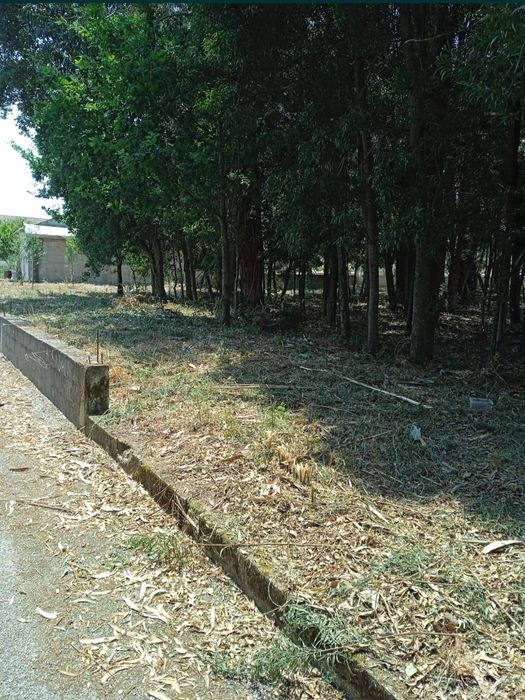 Terreno urbano com 1160 m²  com viabilidade dividirem 2 lotes