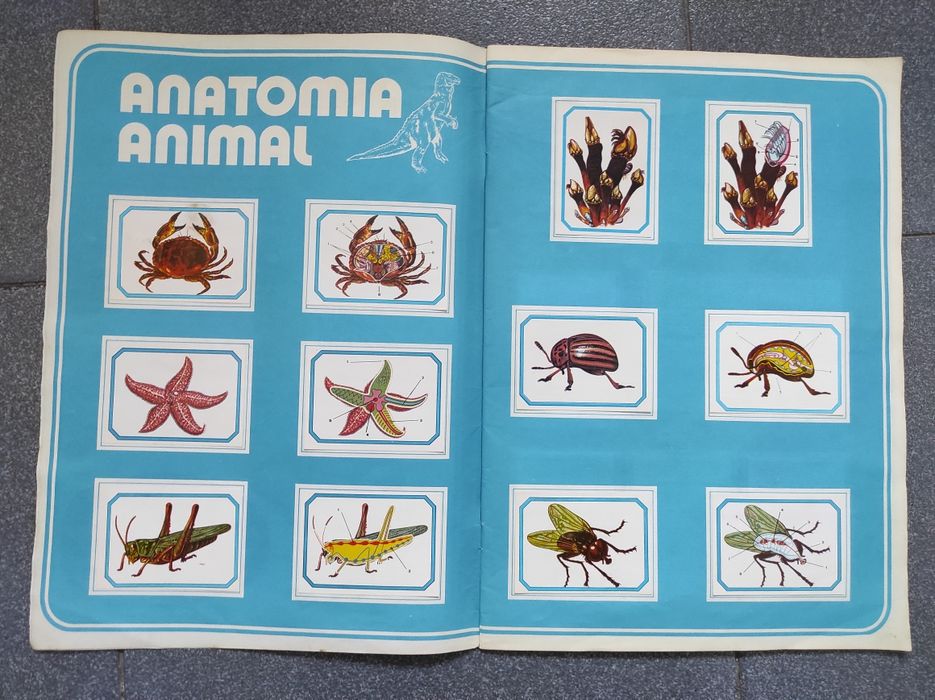 Caderneta de cromos Anatomia
