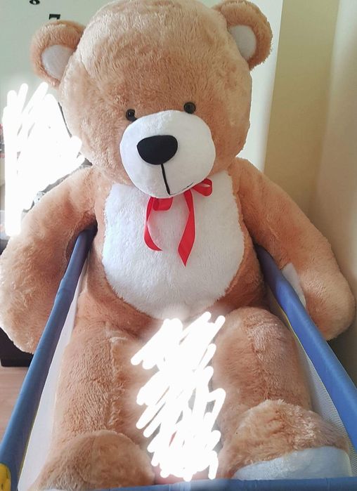 Miś, bardzo duży, Odbiór osobisty.