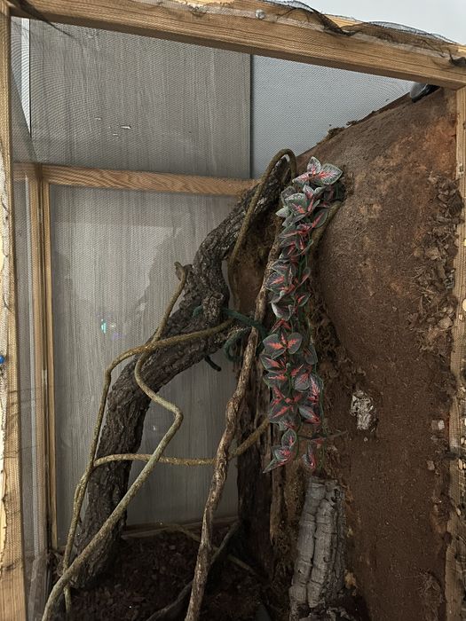 Terrarium dla kameleona/gekona/agamy/jaszczurki