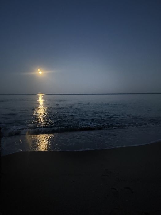 Будинок біля моря Одеса Совиньон 3.