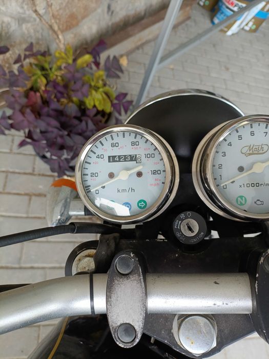 Mash black seven 125