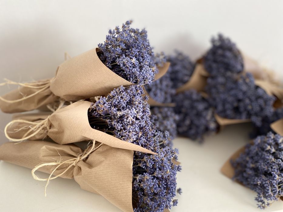Бекетик із 101 гілочки лаванди та — ароматна казка, що дарує спокій