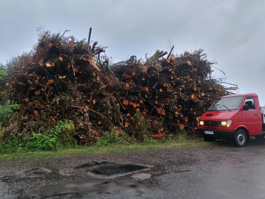 Wycinka drzew za posykany materiał! Podnośnik koszowy, mulczer wgłębny