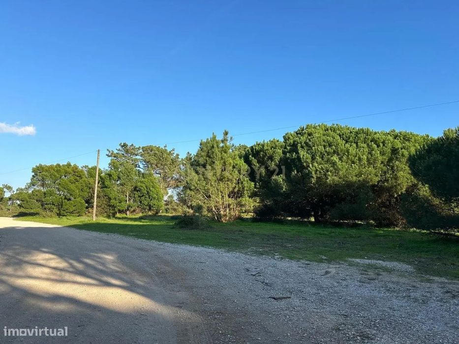 Terreno Rústico de 10.450m² – Aguncheiras, Azóia (Perto da Aldeia do M