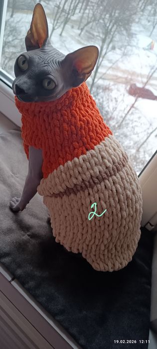 Одежа для сфінкса