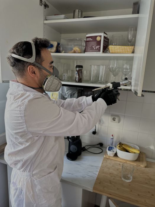 Desinfestacao PERCEVEJO BARATAS RATOS TERMITAS PULGAS