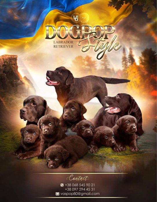 Бронь! Шоколадки! КСУ!