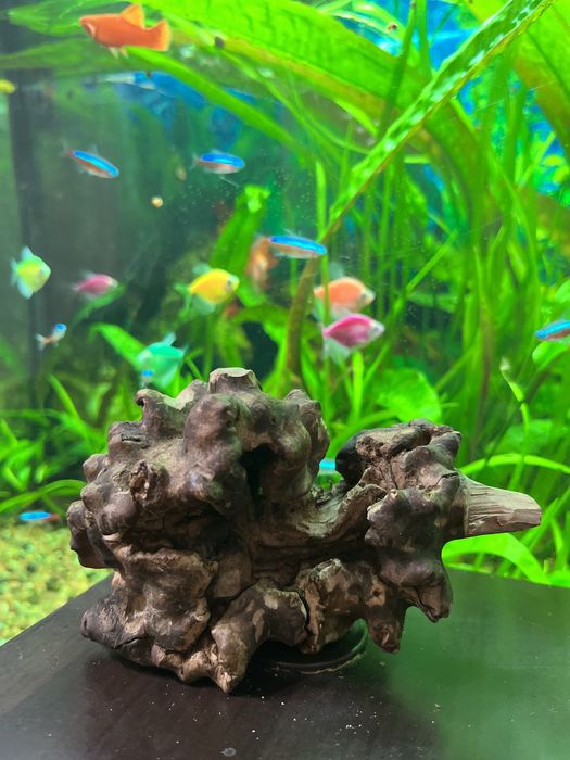 Коряги для акваріума