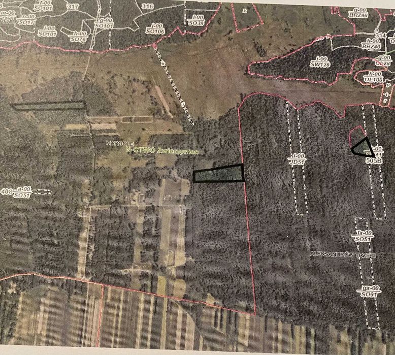 Sprzedam 4,35ha gruntów leśnych - Margole