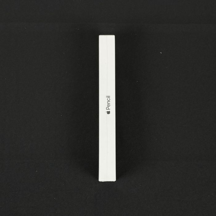 Apple pencil type C463638153019402241