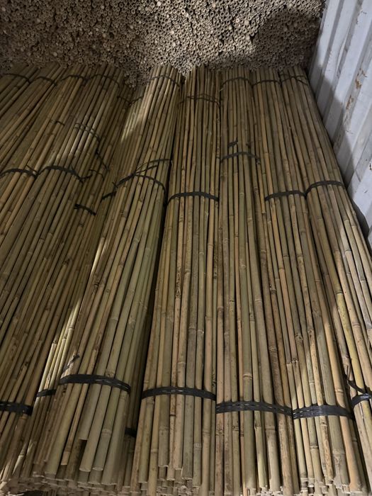 210 cm 20/22 Tyczki bambusowe tyczki sadownicze, bambus