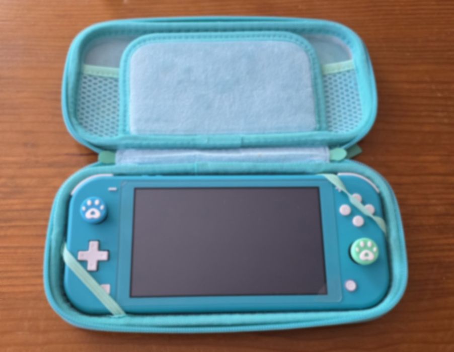 Nintendo switch lite