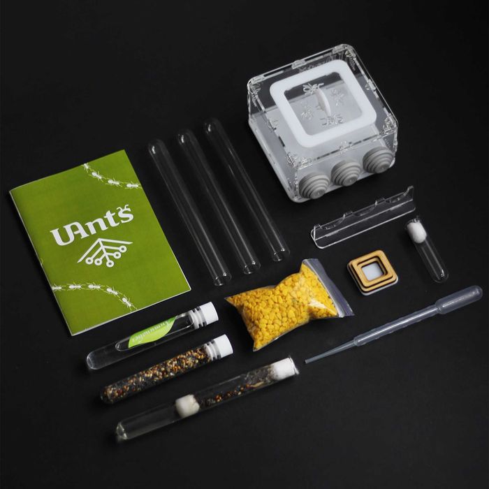 І-М Мурашина ферма Муравьиная Формикарий Подарунок