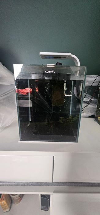 Zestaw 2 akwaria Aquael Shrimp set 30 l