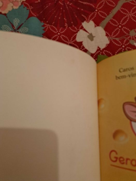 Livros do Geronimo Stilton 1