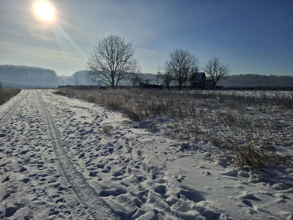 Продаж земельної ділянки під салівництво